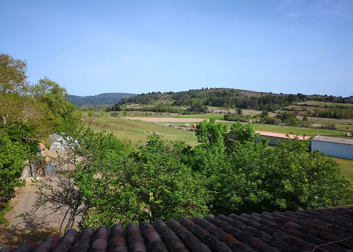 Bed & Breakfast L'ours Des Corbières - D'hôtes